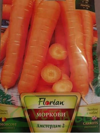 Моркови Амстердам 2 - 5гр